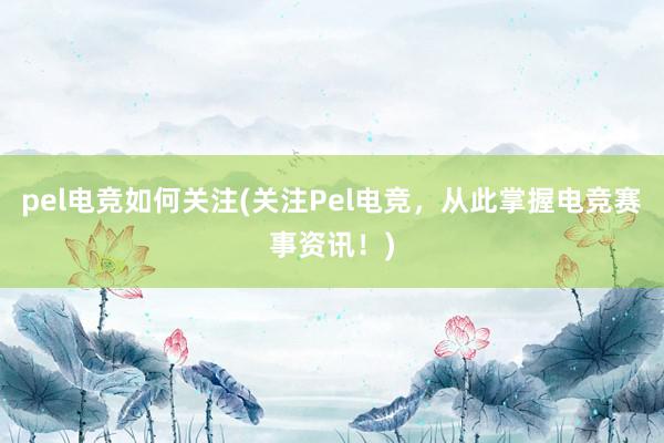 pel电竞如何关注(关注Pel电竞，从此掌握电竞赛事资讯！)