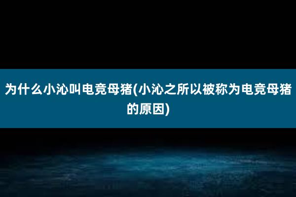 为什么小沁叫电竞母猪(小沁之所以被称为电竞母猪的原因)