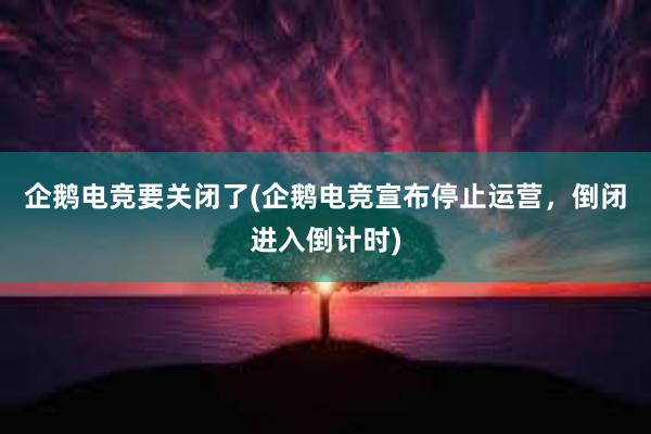 企鹅电竞要关闭了(企鹅电竞宣布停止运营，倒闭进入倒计时)