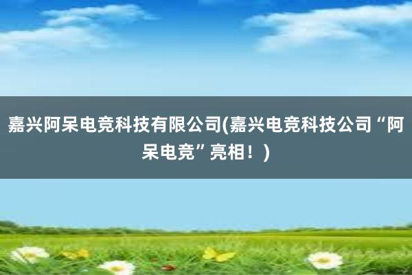 嘉兴阿呆电竞科技有限公司(嘉兴电竞科技公司“阿呆电竞”亮相！)