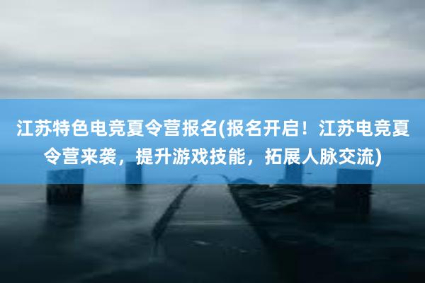 江苏特色电竞夏令营报名(报名开启！江苏电竞夏令营来袭，提升游戏技能，拓展人脉交流)