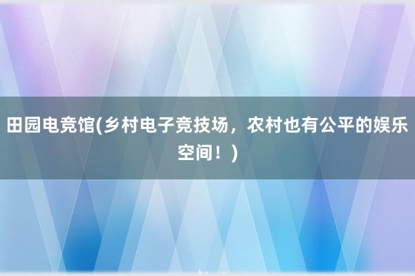 田园电竞馆(乡村电子竞技场，农村也有公平的娱乐空间！)