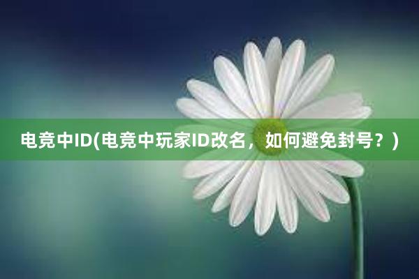 电竞中ID(电竞中玩家ID改名，如何避免封号？)