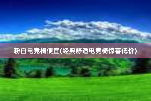 粉白电竞椅便宜(经典舒适电竞椅惊喜低价)