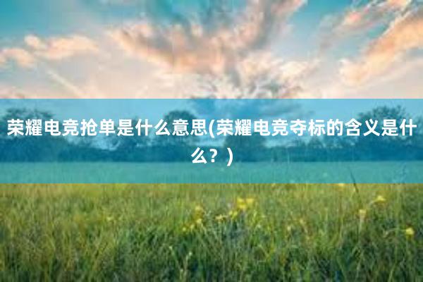 荣耀电竞抢单是什么意思(荣耀电竞夺标的含义是什么？)