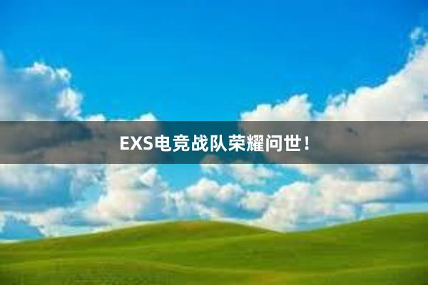 EXS电竞战队荣耀问世！