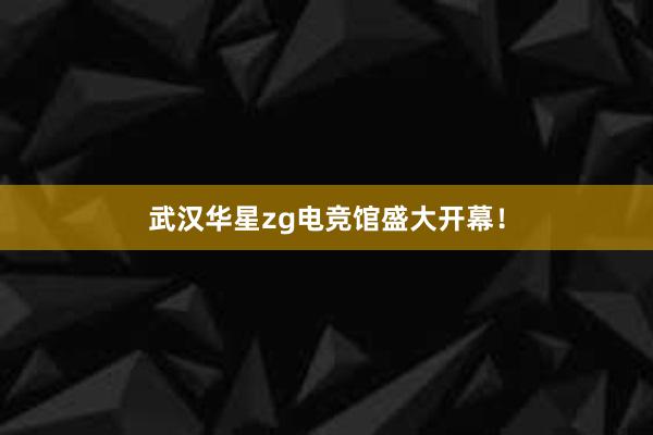 武汉华星zg电竞馆盛大开幕！