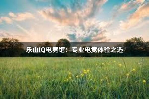 乐山IQ电竞馆：专业电竞体验之选