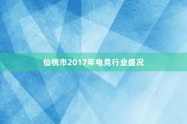 仙桃市2017年电竞行业盛况