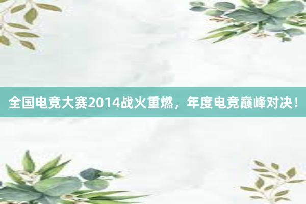 全国电竞大赛2014战火重燃，年度电竞巅峰对决！