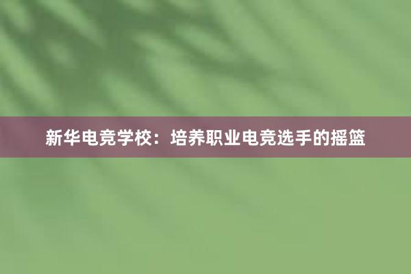 新华电竞学校：培养职业电竞选手的摇篮