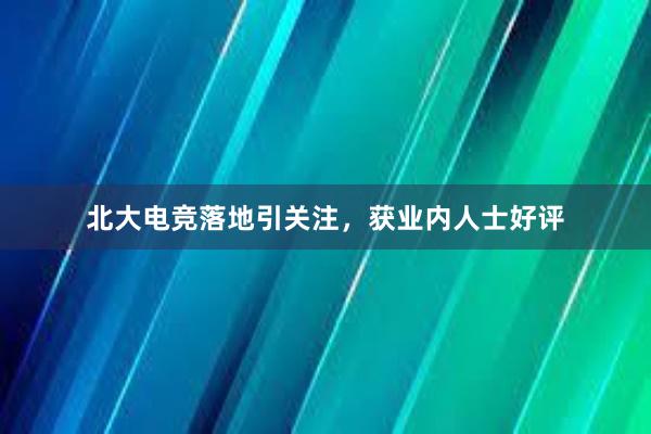 北大电竞落地引关注，获业内人士好评