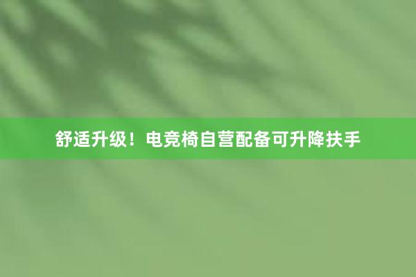 舒适升级！电竞椅自营配备可升降扶手