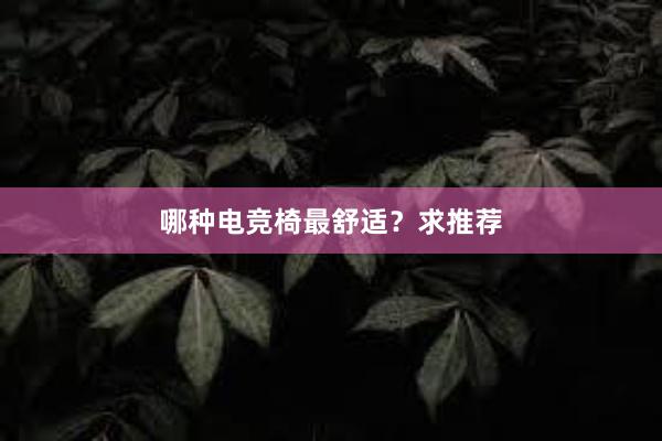 哪种电竞椅最舒适？求推荐