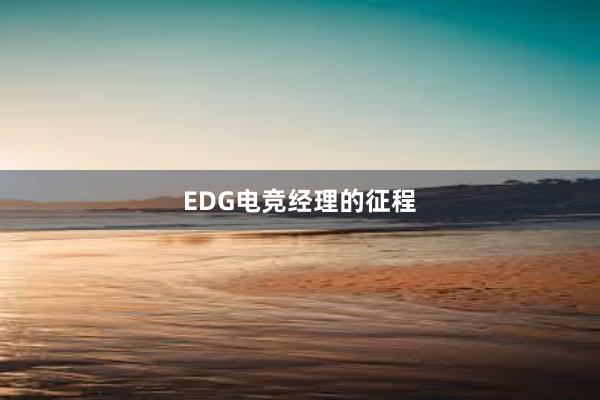 EDG电竞经理的征程