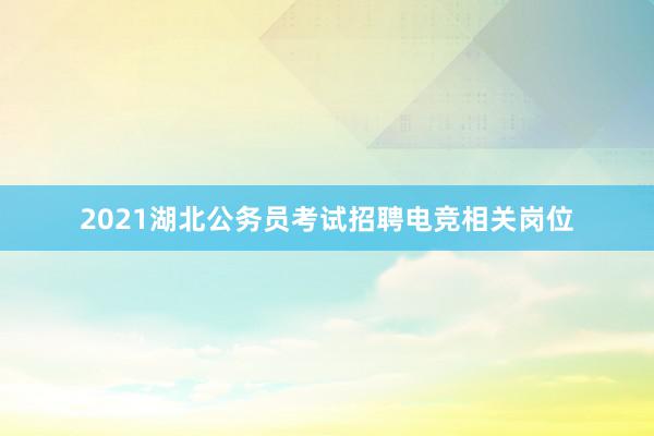 2021湖北公务员考试招聘电竞相关岗位