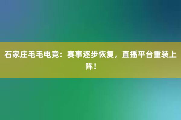 石家庄毛毛电竞：赛事逐步恢复，直播平台重装上阵！