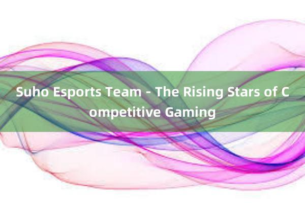 Suho Esports Team - The Rising Stars of Competitive Gaming