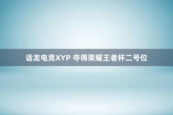 话龙电竞XYP 夺得荣耀王者杯二号位